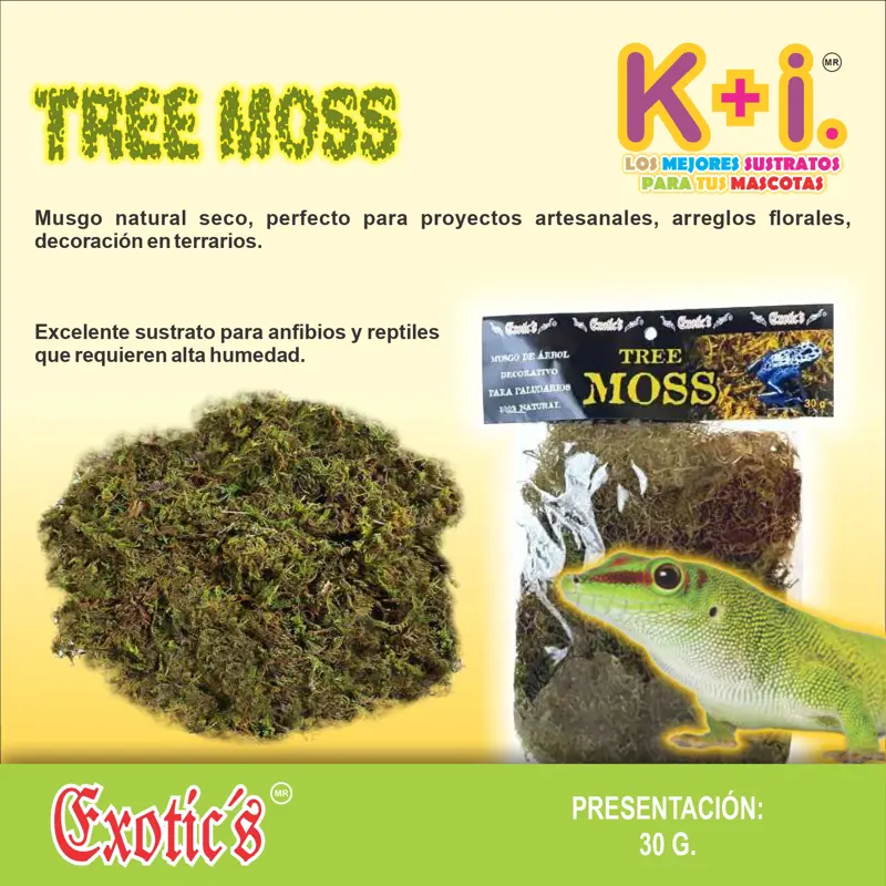 Tree Moss