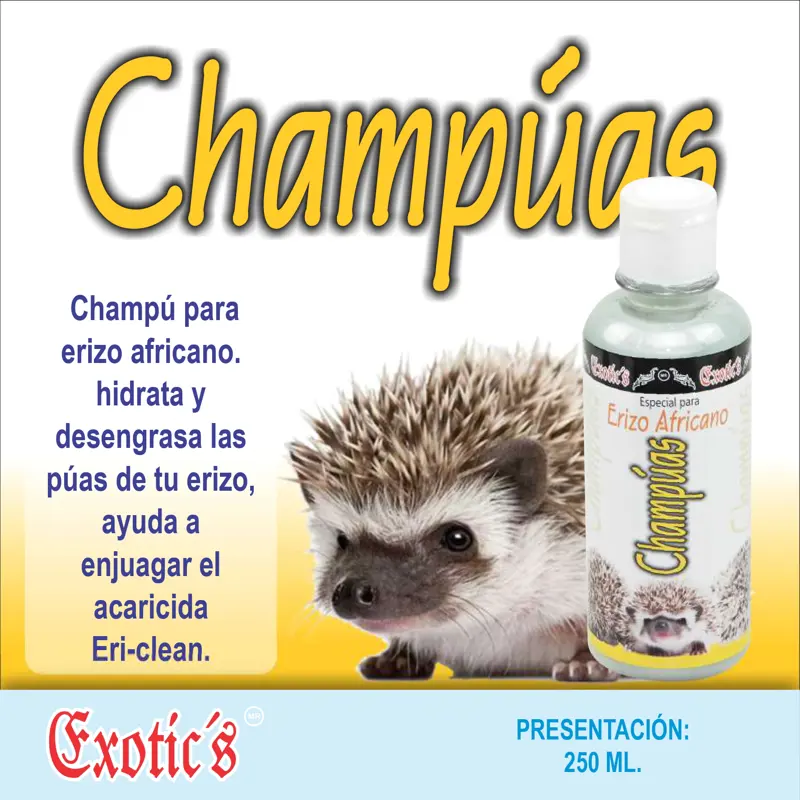 Champúas