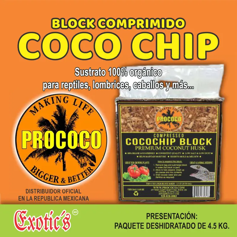 Coco Chip