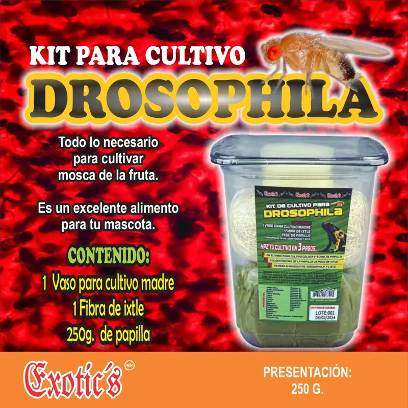 Kit Para Cultivo DROSOPHILA