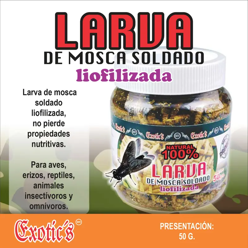 Larva de Mosca Soldado Liofilizada