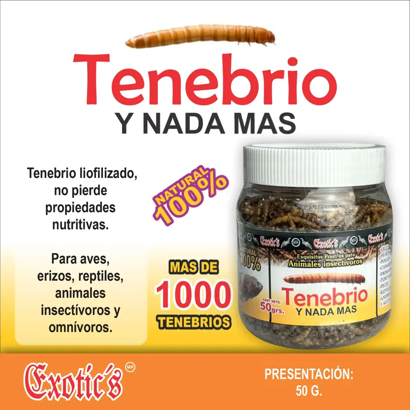 Tenebrio y nada más